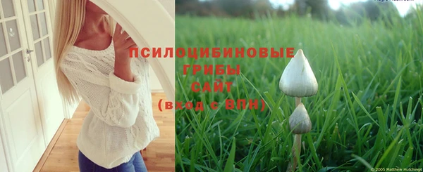 МДПВ Дмитриев