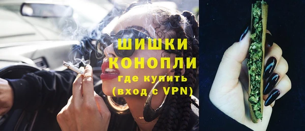МДПВ Дмитриев