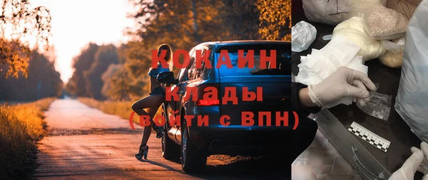 МДПВ Дмитриев